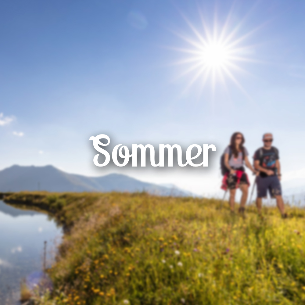 Ferienwohnung Zell am Ziller, Ferienwohnungen, Winterurlaub, Sommerurlaub, Bergliebe Apartments